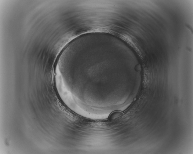 X0000102241276200808221322