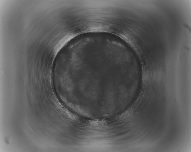 X0000102241277200808221322