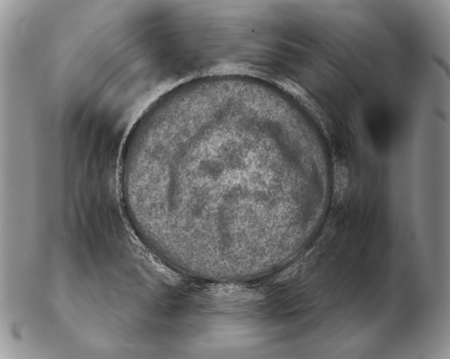 X0000102241278200808221322