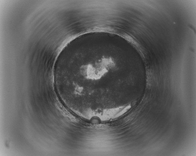 X0000102241280200808221322