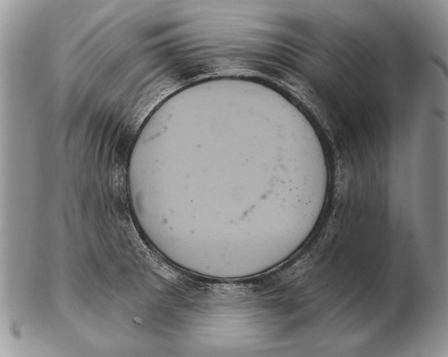 X0000102241281200808221322