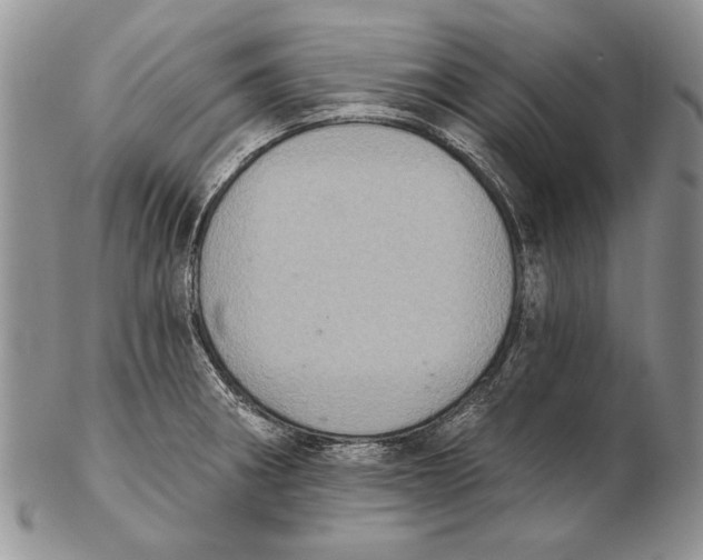 X0000102241282200808221322