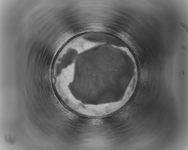 X0000102241283200808221322