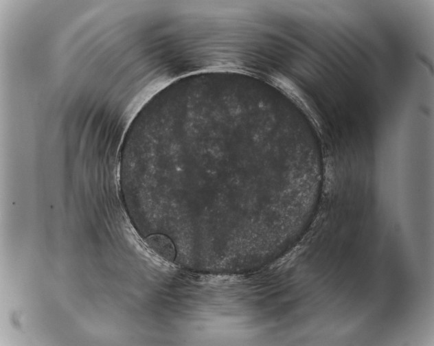 X0000102241284200808221322