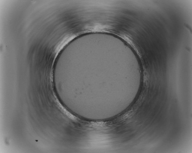 X0000102241285200808221322