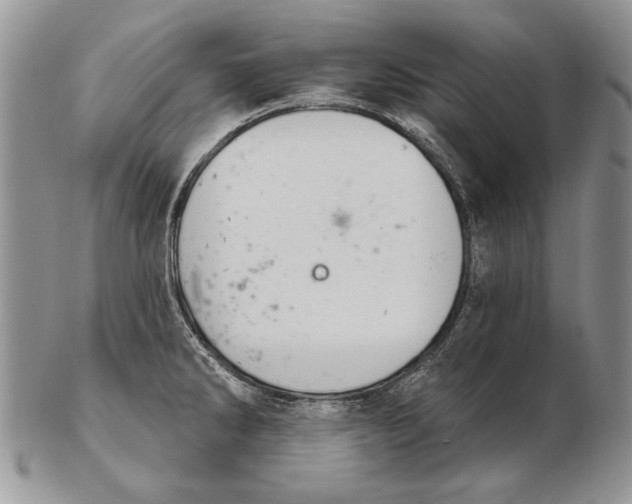 X0000102241286200808221322