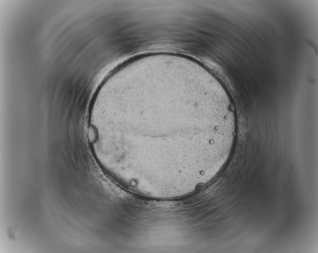 X0000102241288200808221322