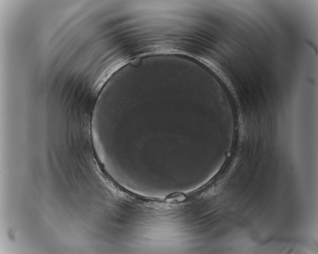 X0000102241289200808221322