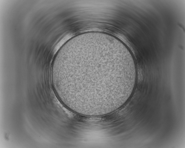 X0000102241290200808221322