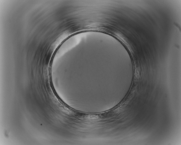 X0000102241291200808221322