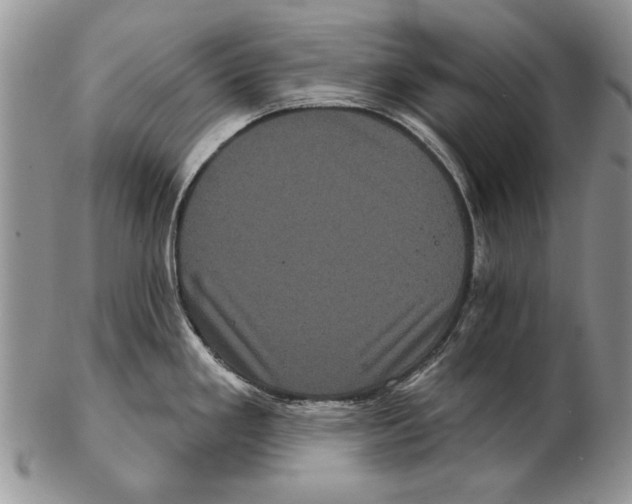 X0000102241293200808221322