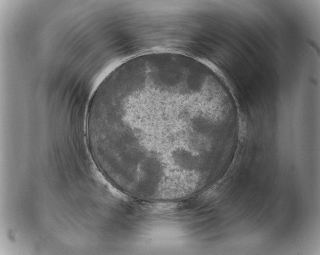 X0000102241294200808221322