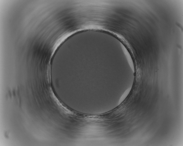 X0000102241295200808221322