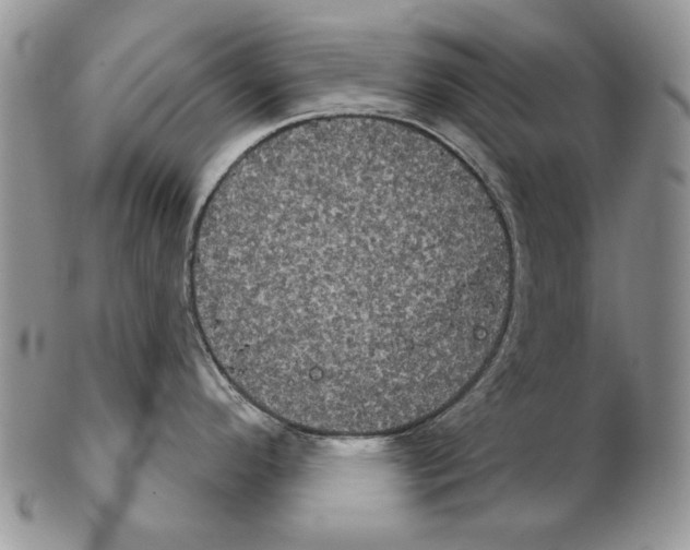 X0000102241296200808221322