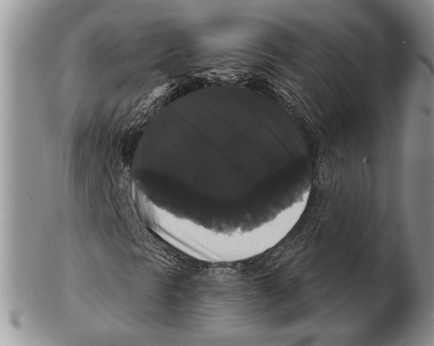 X0000102241297200808221321