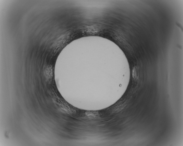 X0000102241299200808221321