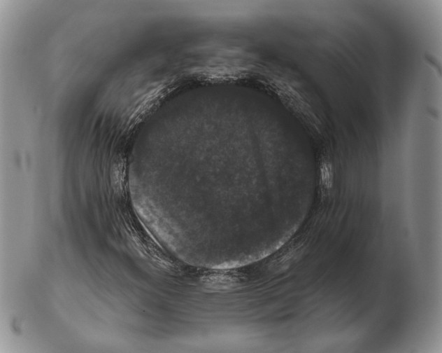 X0000102241300200808221321