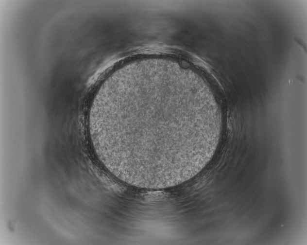 X0000102241304200808221321