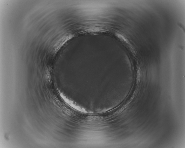 X0000102241305200808221321