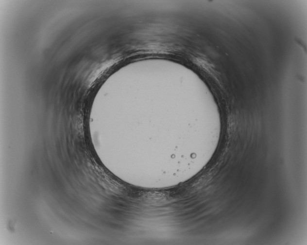 X0000102241307200808221321