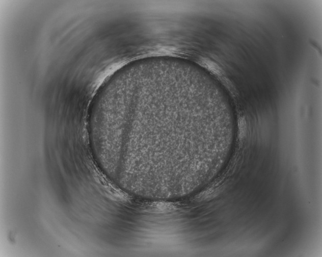 X0000102241308200808221321