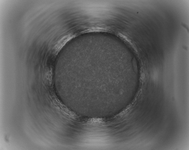 X0000102241313200808221321