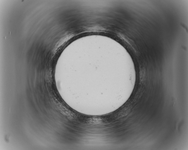 X0000102241315200808221321