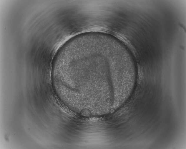 X0000102241316200808221321