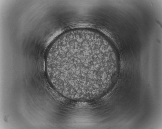 X0000102241317200808221321