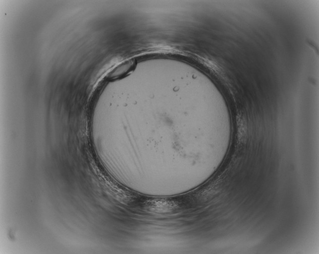 X0000102241318200808221321