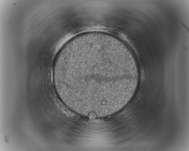 X0000102241320200808221321