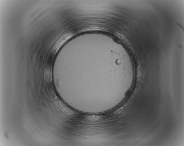 X0000102241321200808221321