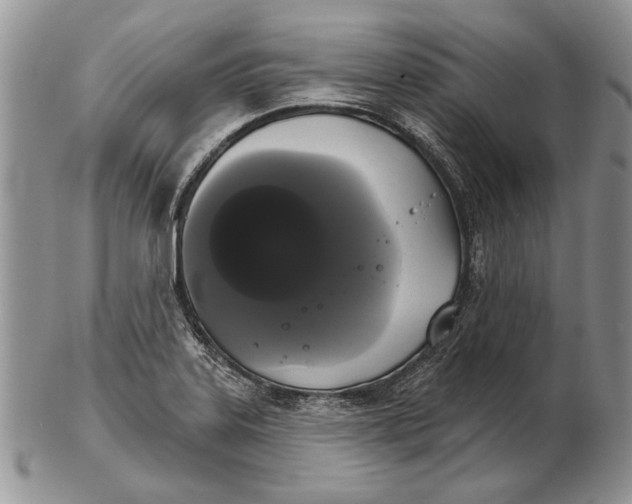 X0000102241323200808221321