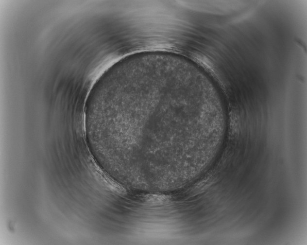 X0000102241324200808221321