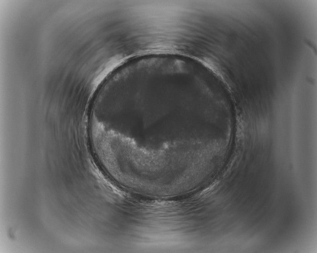 X0000102241325200808221321