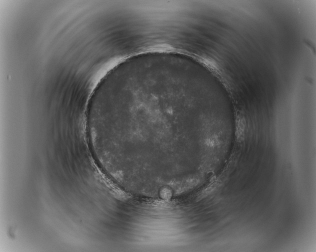 X0000102241326200808221321