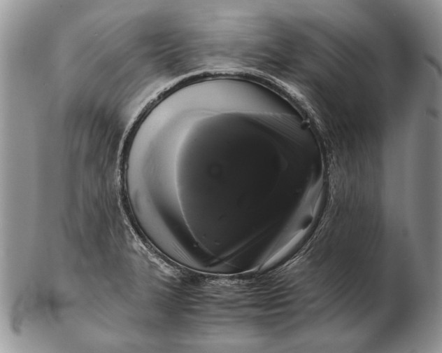 X0000102241327200808221321