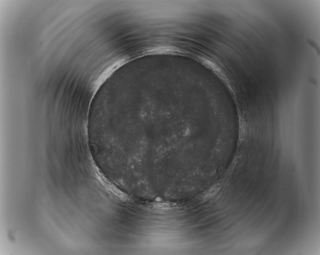 X0000102241330200808221321