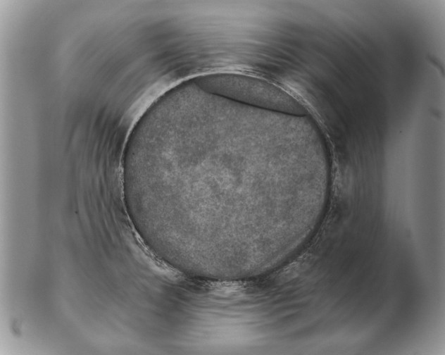 X0000102241332200808221321