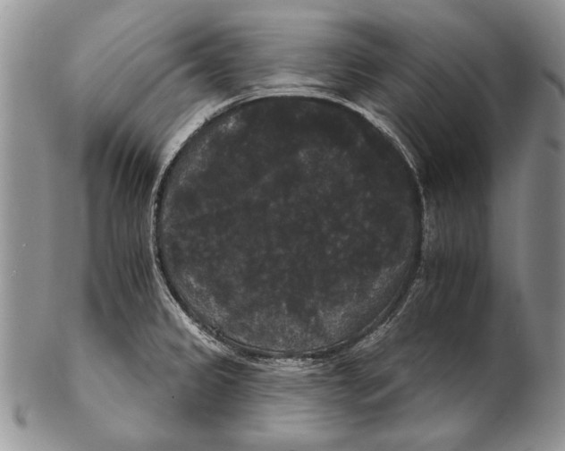 X0000102241333200808221322