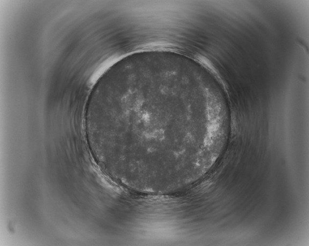 X0000102241336200808221322