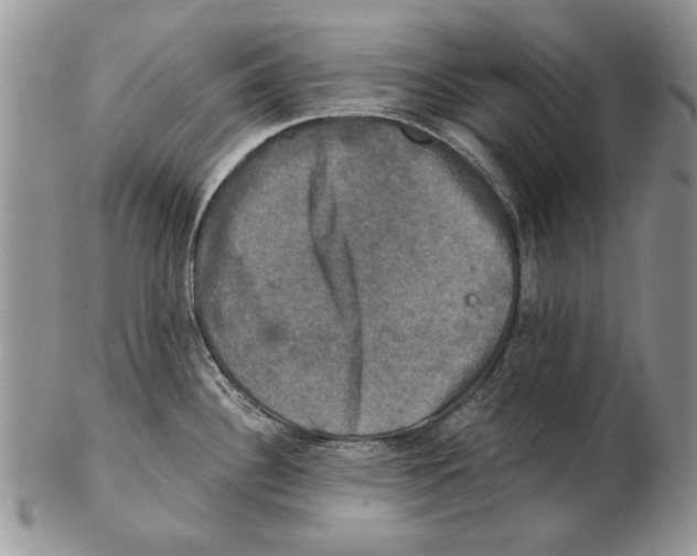 X0000102241340200808221322