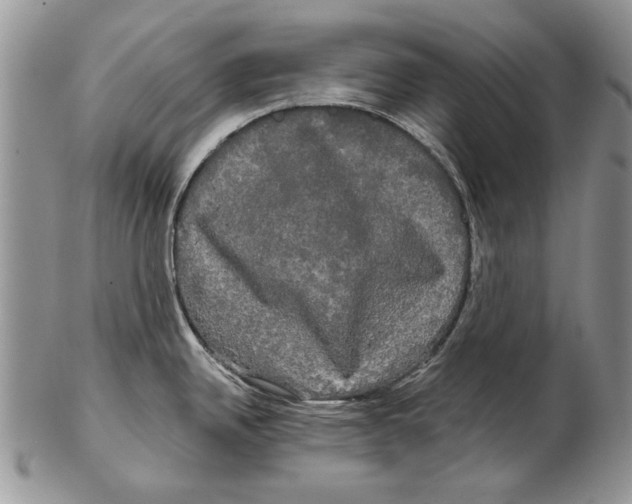 X0000102241342200808221322