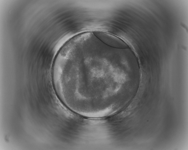 X0000102241344200808221322