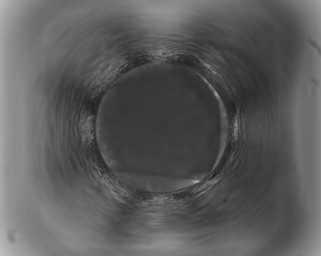 X0000102241346200808221321