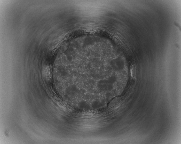 X0000102241347200808221321