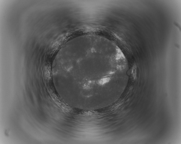 X0000102241348200808221321