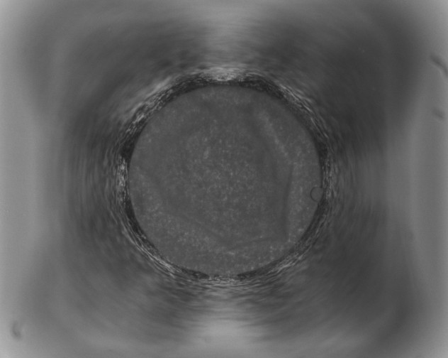 X0000102241349200808221321