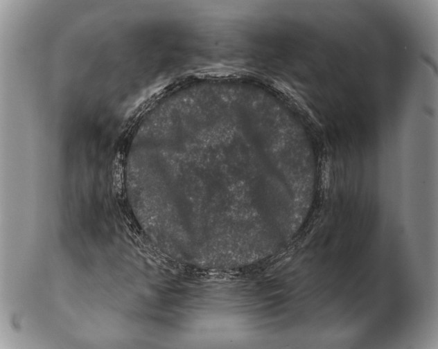 X0000102241350200808221321