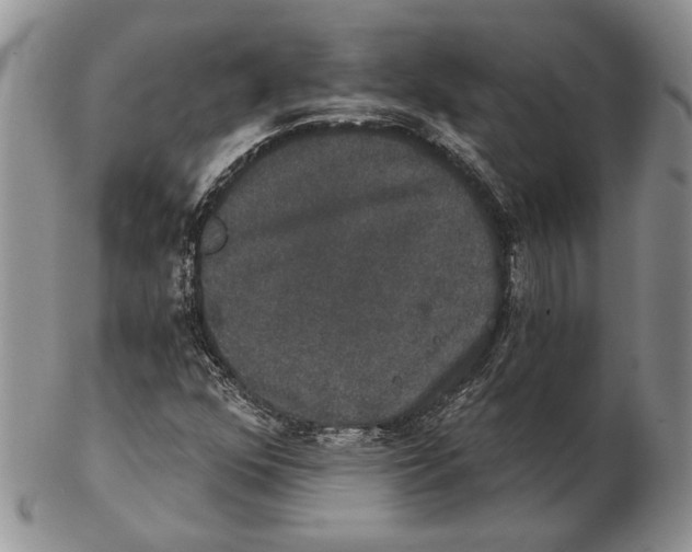 X0000102241352200808221321